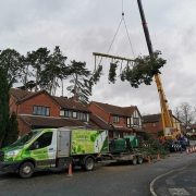 Tree surgery