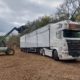 Loading lorry with wood chip - site clearance