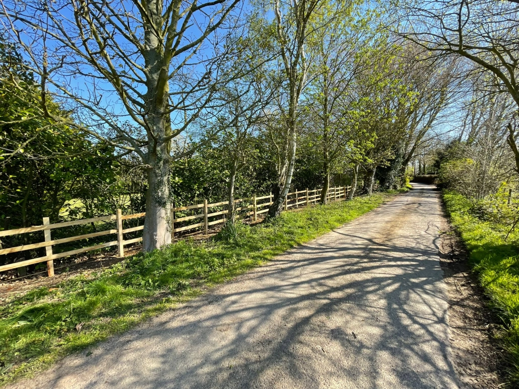 Post and rail fencing